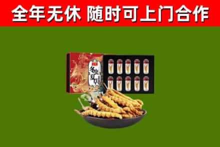 忠县回收冬虫夏草价格